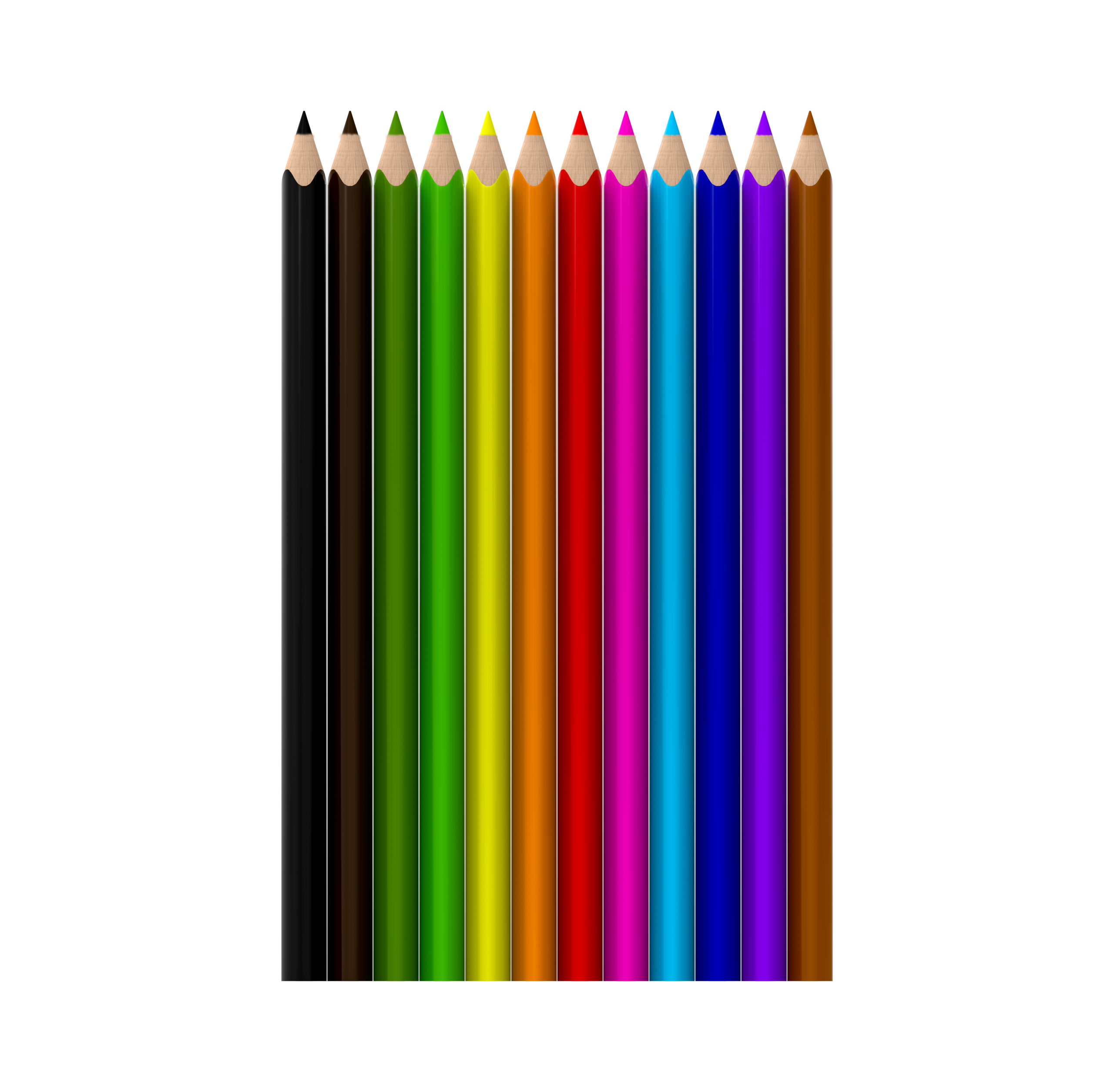 Coloria 12'Lİ JUMBO KURU BOYA - Görsel 2